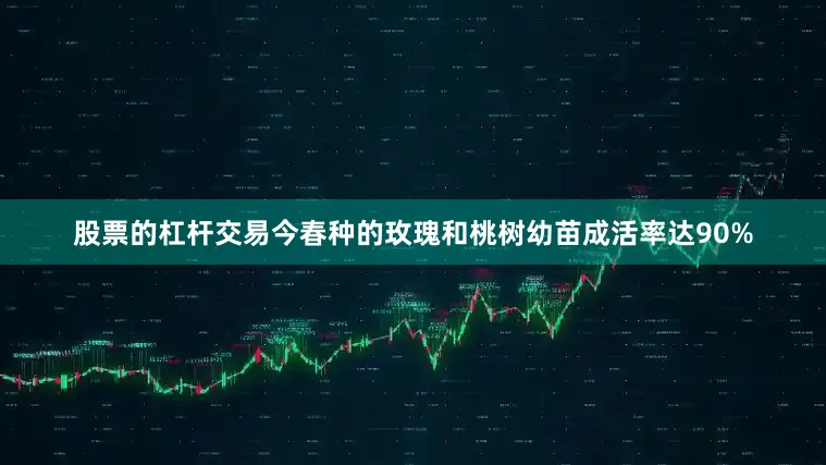 股票的杠杆交易今春种的玫瑰和桃树幼苗成活率达90%