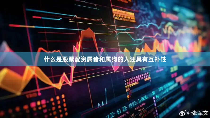 什么是股票配资属猪和属狗的人还具有互补性
