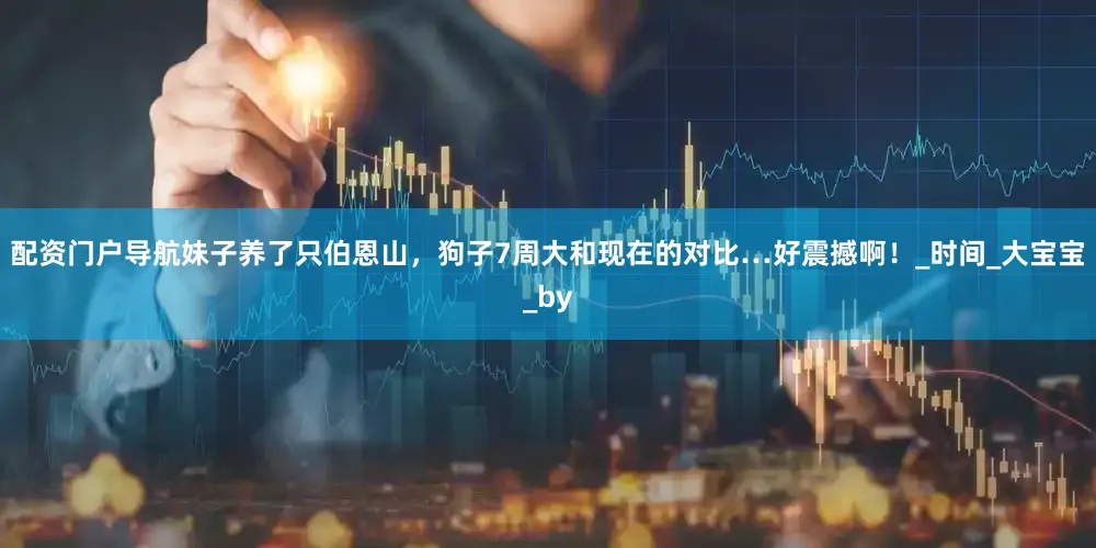 配资门户导航妹子养了只伯恩山，狗子7周大和现在的对比…好震撼啊！_时间_大宝宝_by