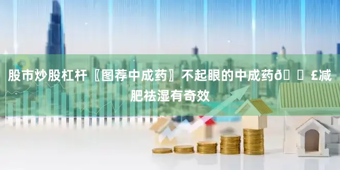 股市炒股杠杆〖图荐中成药〗不起眼的中成药🍣减肥祛湿有奇效
