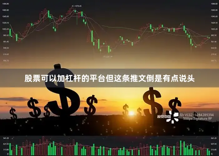股票可以加杠杆的平台但这条推文倒是有点说头